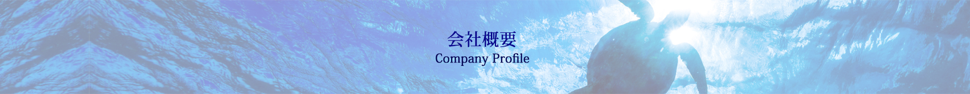 company_top_02